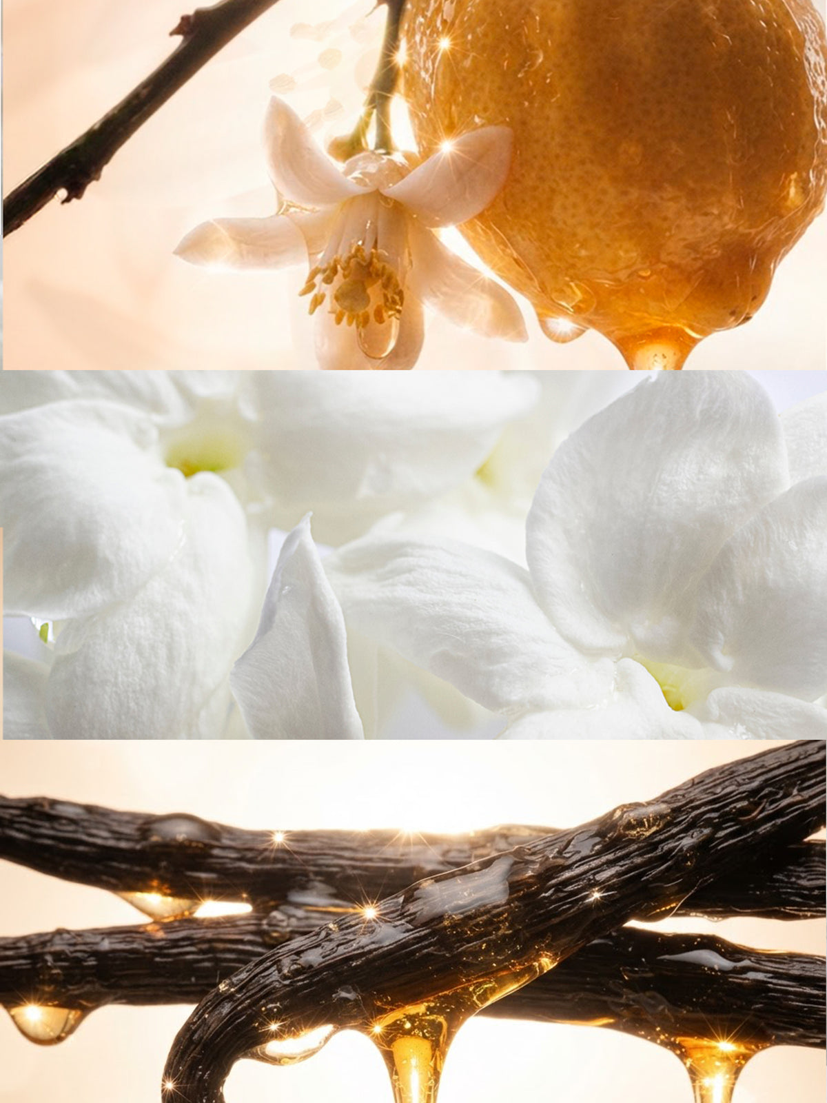 Kalena